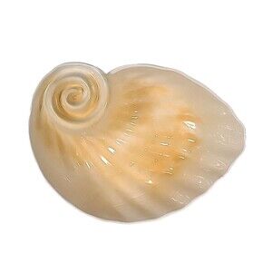 Vintage Melamine Seashell Serving bowl Beachy Coastal 80's